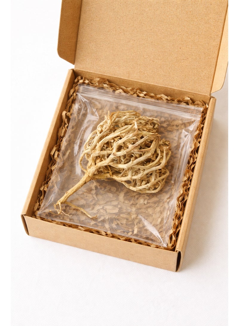 Nicense Chajarat Mariam (Maryam Flower) – Anastatica hierochuntica | Rose of Jericho Resurrection Plant | Traditionally Used for Fertility & Pregnancy Practices - Image 2